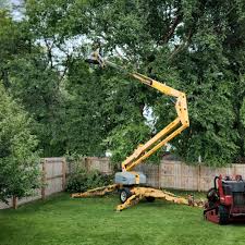 Leaf Removal in Waterford, WI